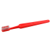 Compact Adult Toothbrush