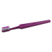 Compact Adult Toothbrush