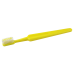 Compact Adult Toothbrush