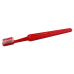 Compact Adult Toothbrush
