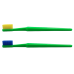 Compact Adult Toothbrush with Colorful Bristles