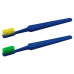 Compact Adult Toothbrush with Colorful Bristles