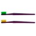 Compact Adult Toothbrush with Colorful Bristles
