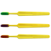 Compact Adult Toothbrush with Colorful Bristles