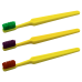 Compact Adult Toothbrush with Colorful Bristles