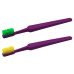 Compact Adult Toothbrush with Colorful Bristles