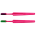 Compact Adult Toothbrush with Colorful Bristles