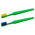 Compact Adult Toothbrush with Colorful Bristles