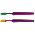 Compact Adult Toothbrush with Colorful Bristles