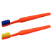 Compact Adult Toothbrush with Colorful Bristles