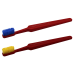 Compact Adult Toothbrush with Colorful Bristles