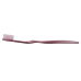 Curve Pearlescent Adult Toothbrush Curve Pearlescent Adult Toothbrush