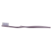 Curve Pearlescent Adult Toothbrush Curve Pearlescent Adult Toothbrush