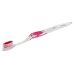 Clear Accent Adult Toothbrush