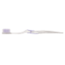 Clear Accent Adult Toothbrush