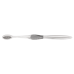 Clear Accent Adult Toothbrush