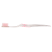 Clear Accent Adult Toothbrush