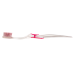 Clear Accent Adult Toothbrush