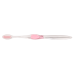Clear Accent Adult Toothbrush