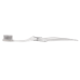 Clear Accent Adult Toothbrush