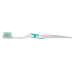Clear Accent Adult Toothbrush