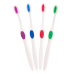 White Accent Adult Toothbrush White Accent Adult Toothbrush